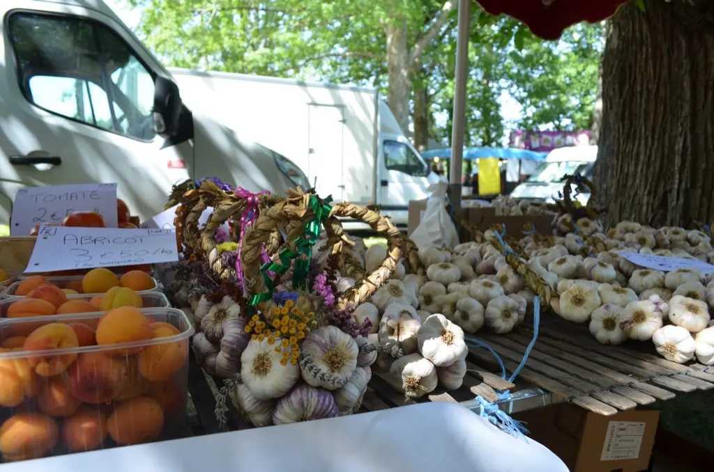 Foire de Caminel - Les ails