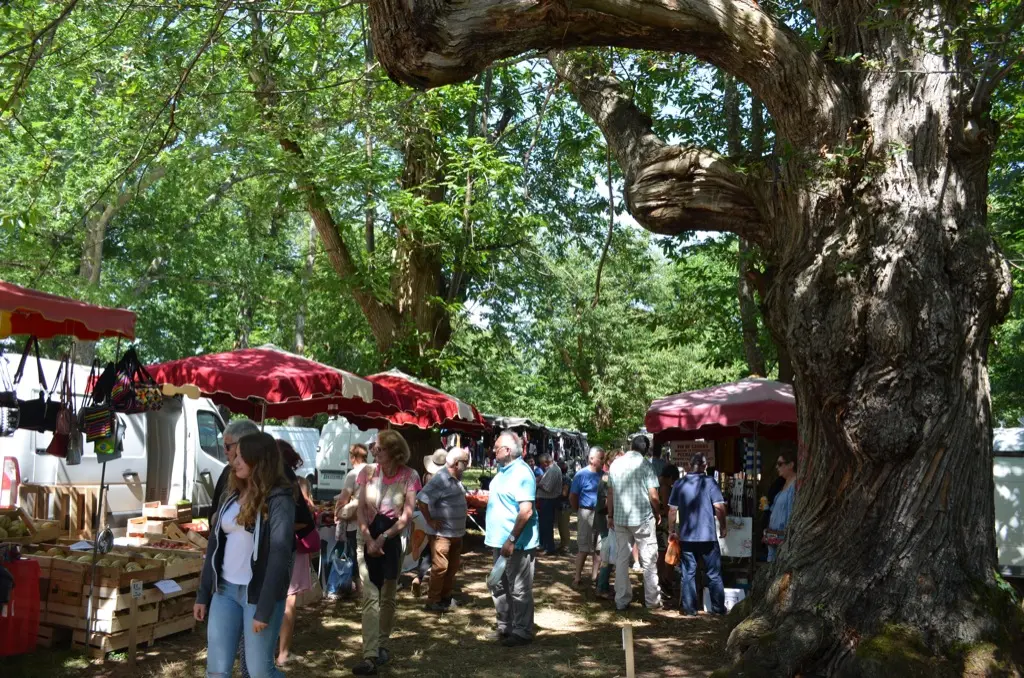 Foire de Caminel - les chataigniers