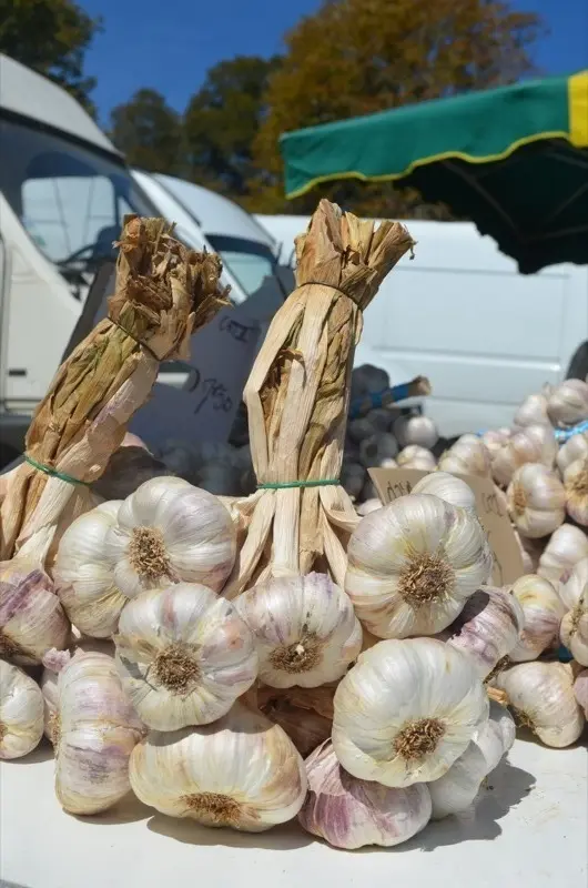 Foire du Dégagnazès - étalage d'oignons