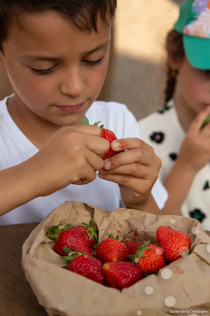 Fraises-Marche-de-Pays-Monceaux-sur-Dordogne-Malika-Turin.jpg-1200px