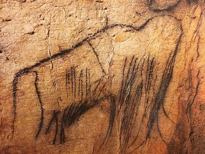 Grotte - Mammouth
