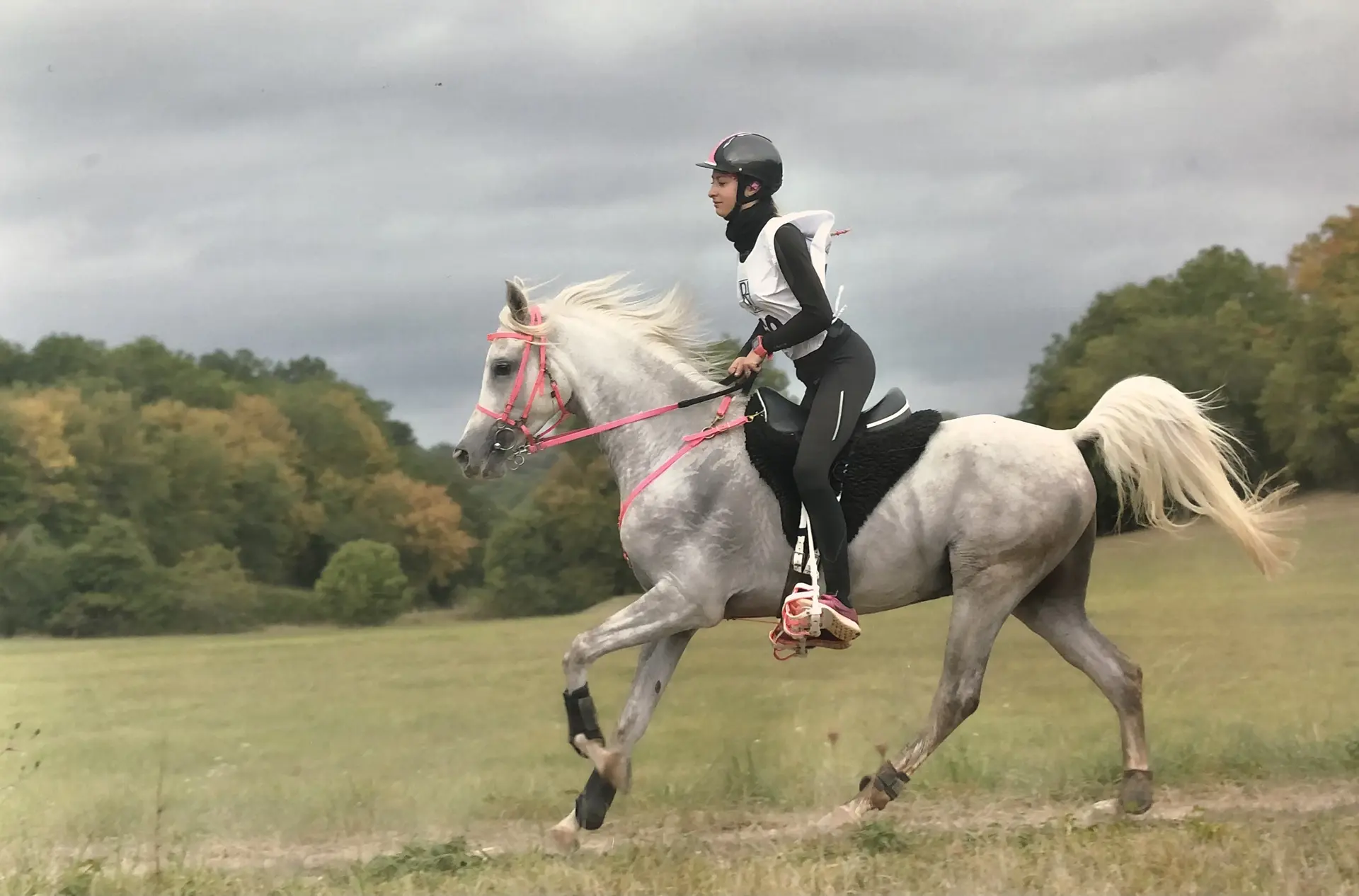 Dégagnazès cheval