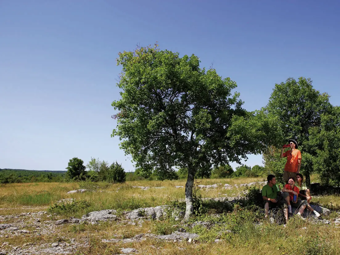 Sur le Causse d'Issendolus