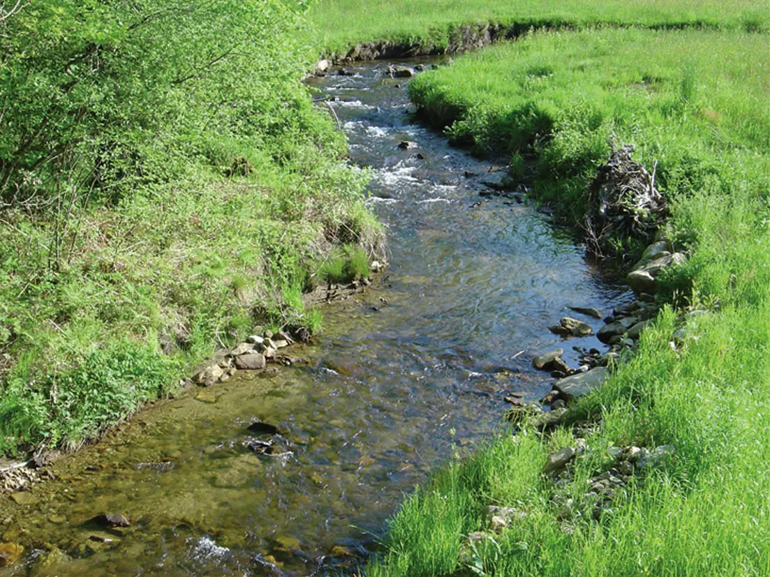 Sousceyrac : Ruisseau du Cayla