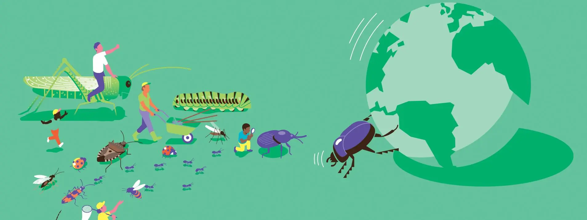 Image panneau titre insectes HD