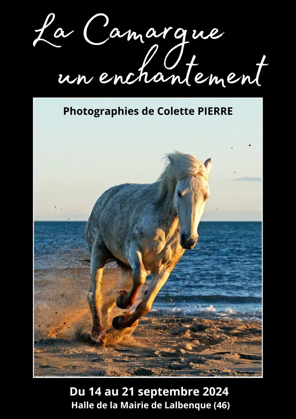 LA-CAMARGUE-UN-ENCHANTEMENT-1-980x1386