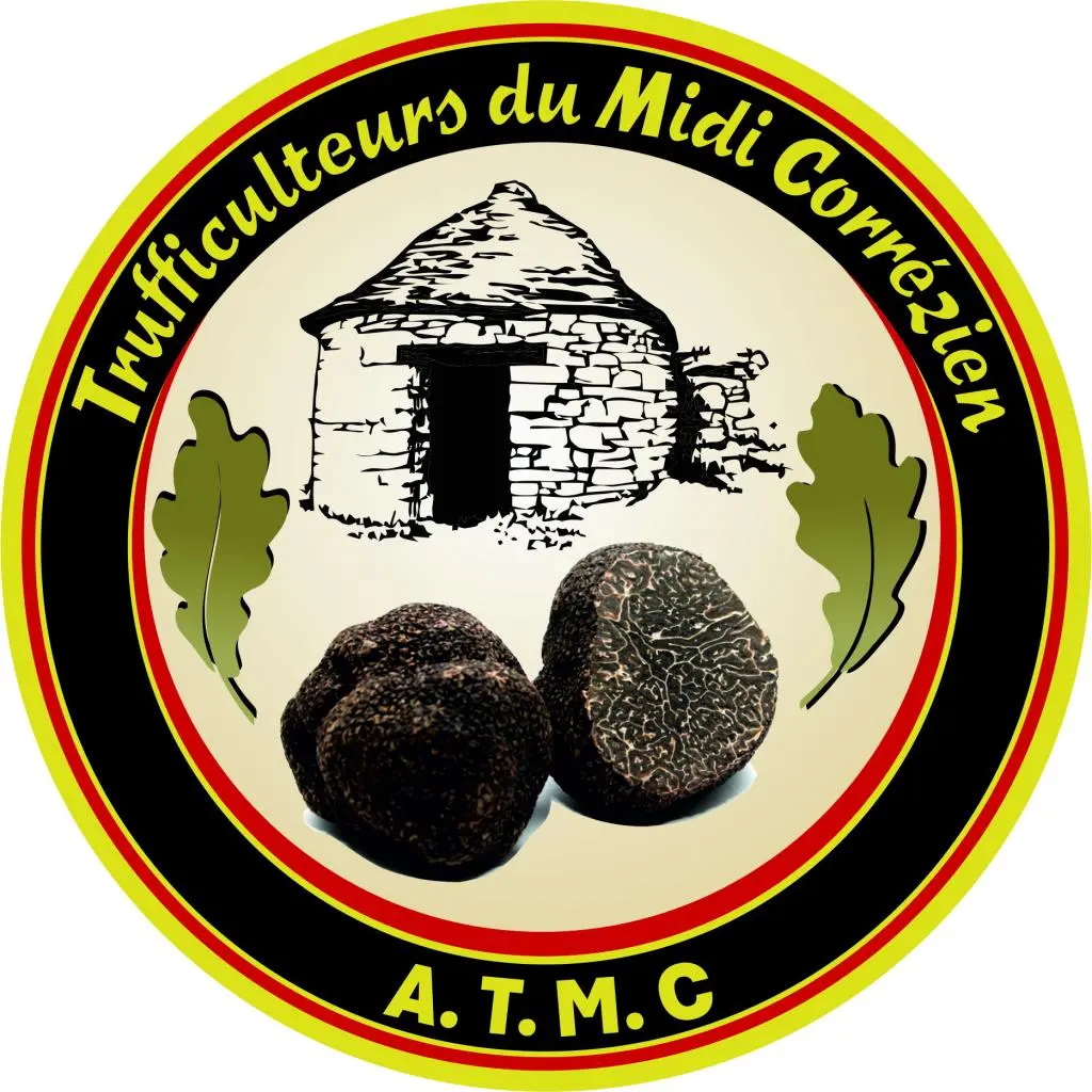 LOGO truffe midi-corrézien
