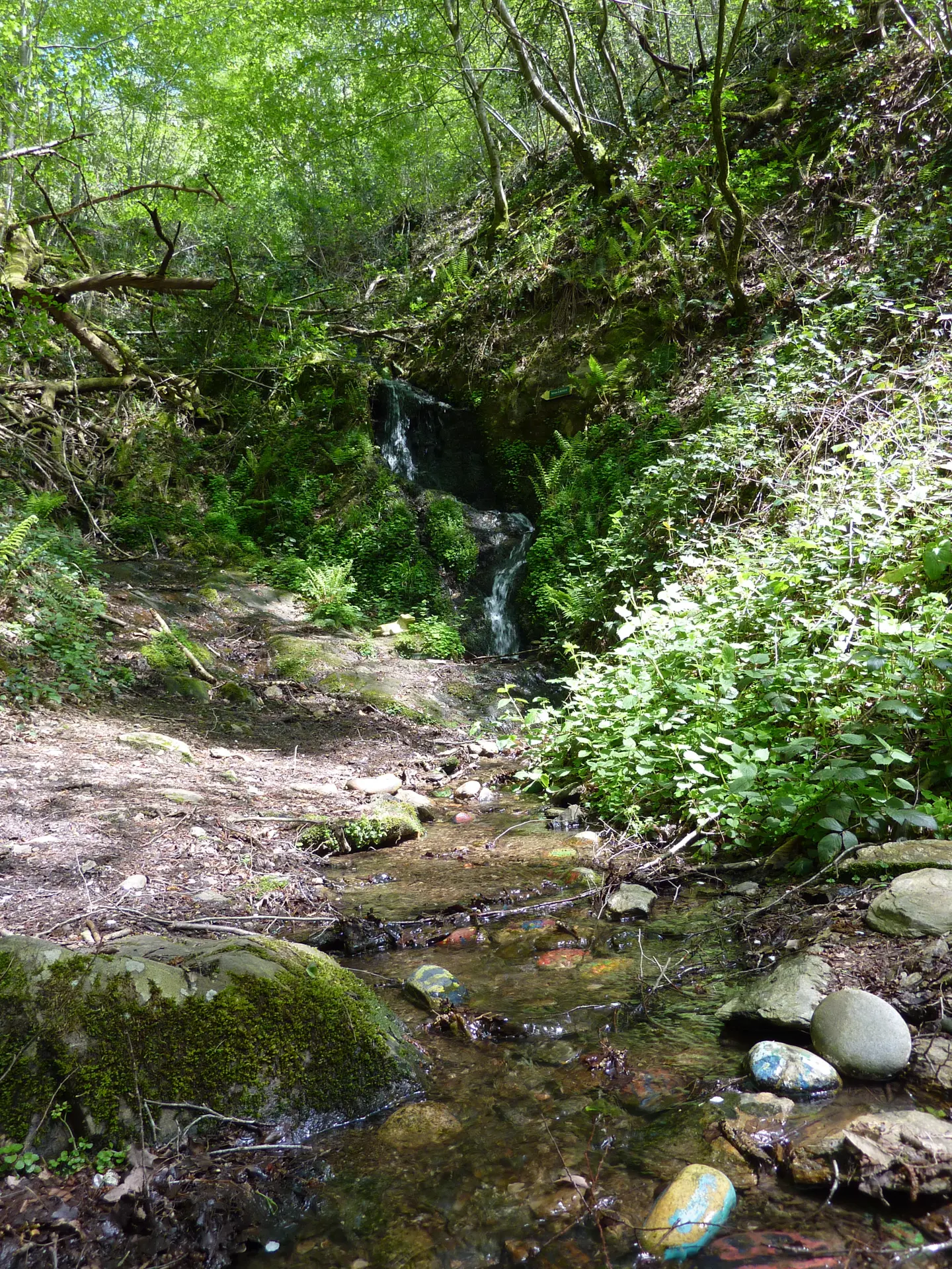 Latouille-Lentillac - Cascade ruisselant_14 © Lot Tourisme - C. Sanchez