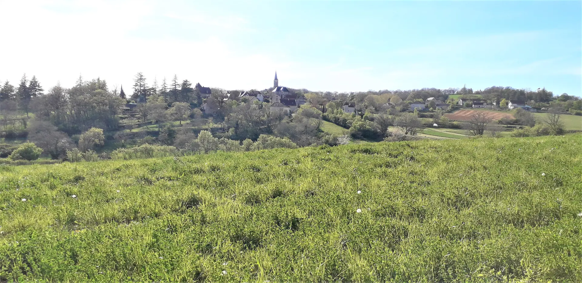 Lauzès