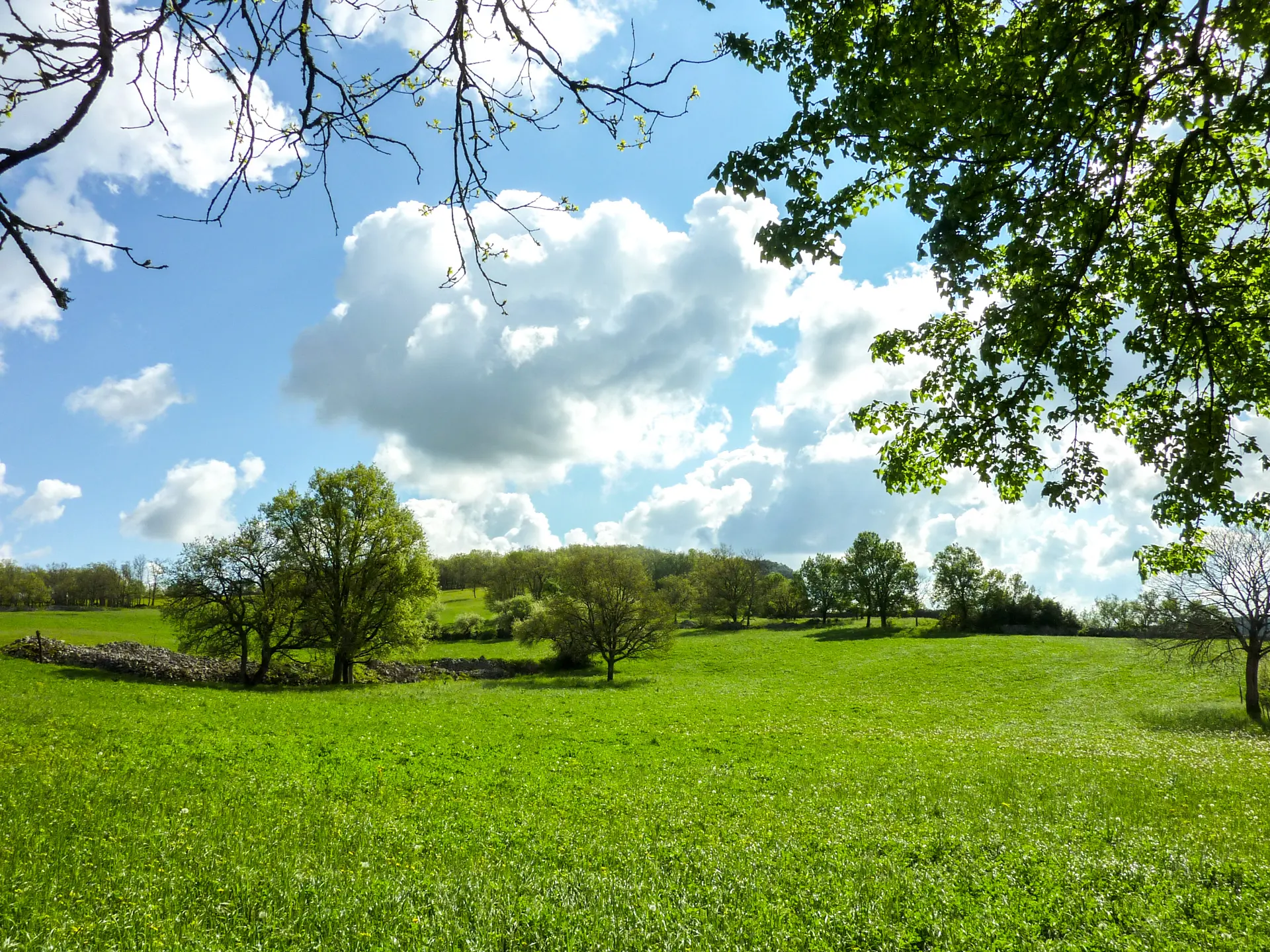 Le Teuron - prairie verdoyante © Lot Tourisme - C. Sanchez