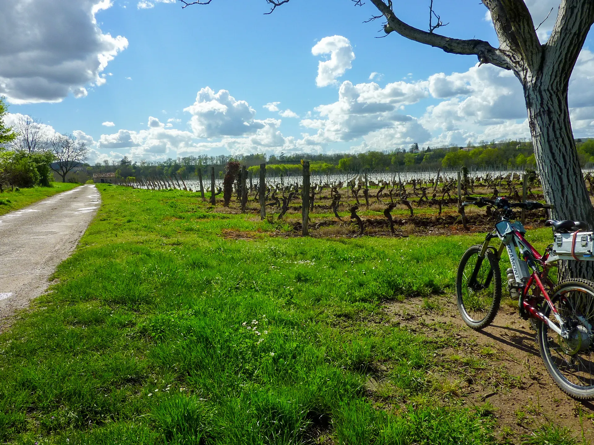 Les Trémouls - Balade dans les vignes © Lot Tourisme - C. Sanchez