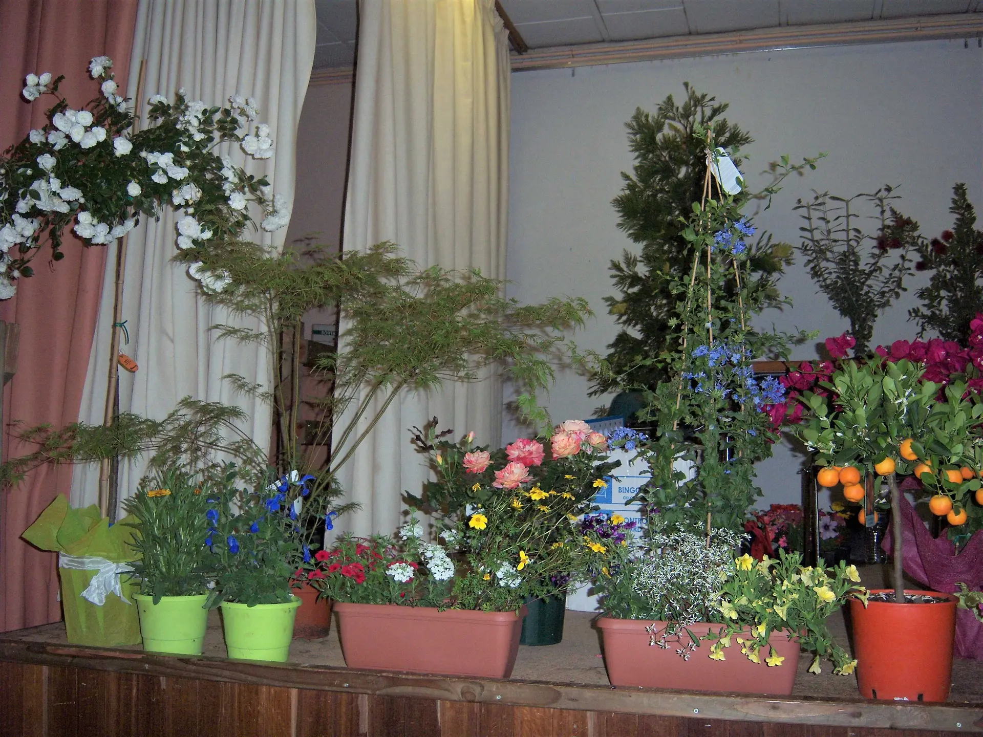 Loto des fleurs