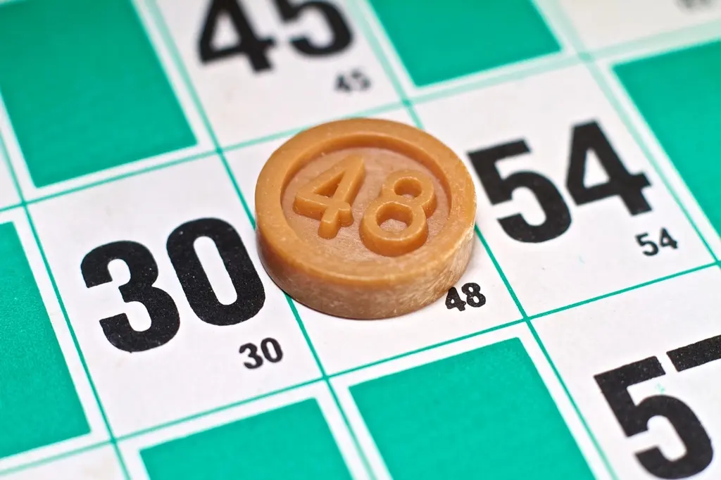 Loto vert