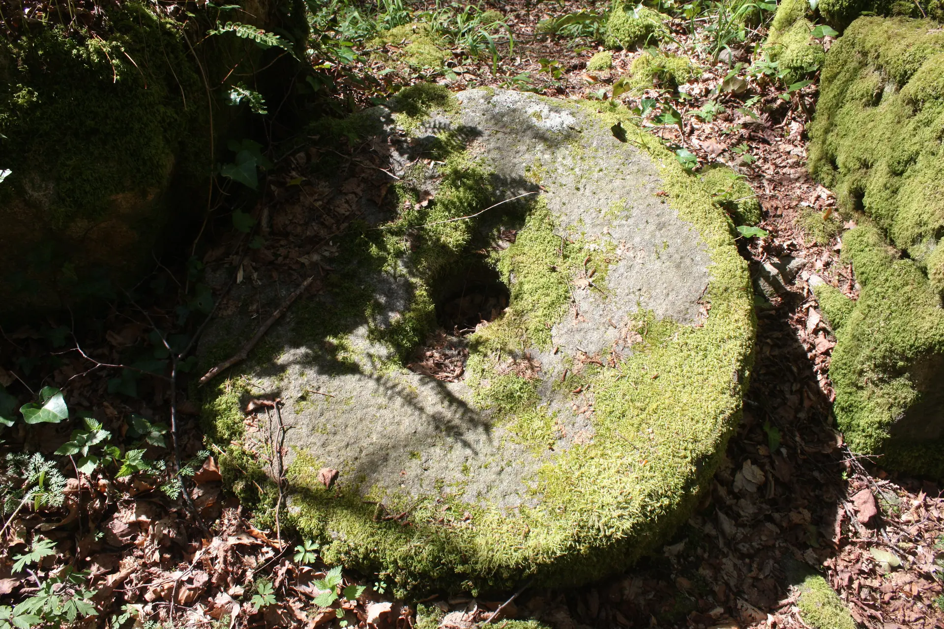 MOULIN DE MONFREU