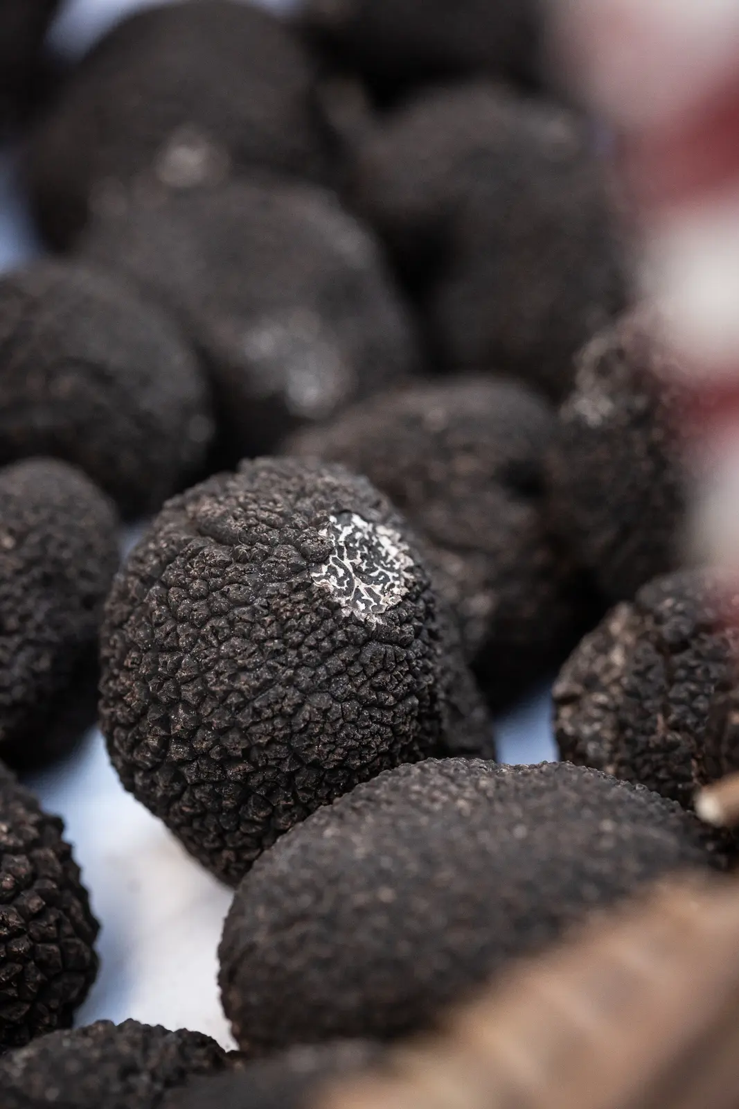 Marché aux truffes-Martel-©