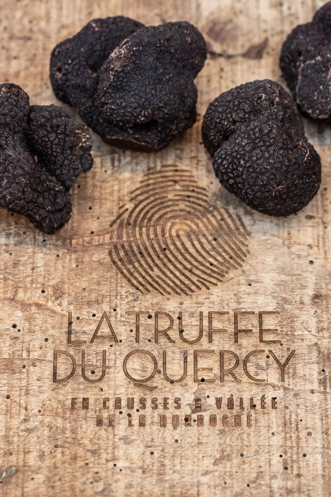 Marché aux truffes-Martel-©