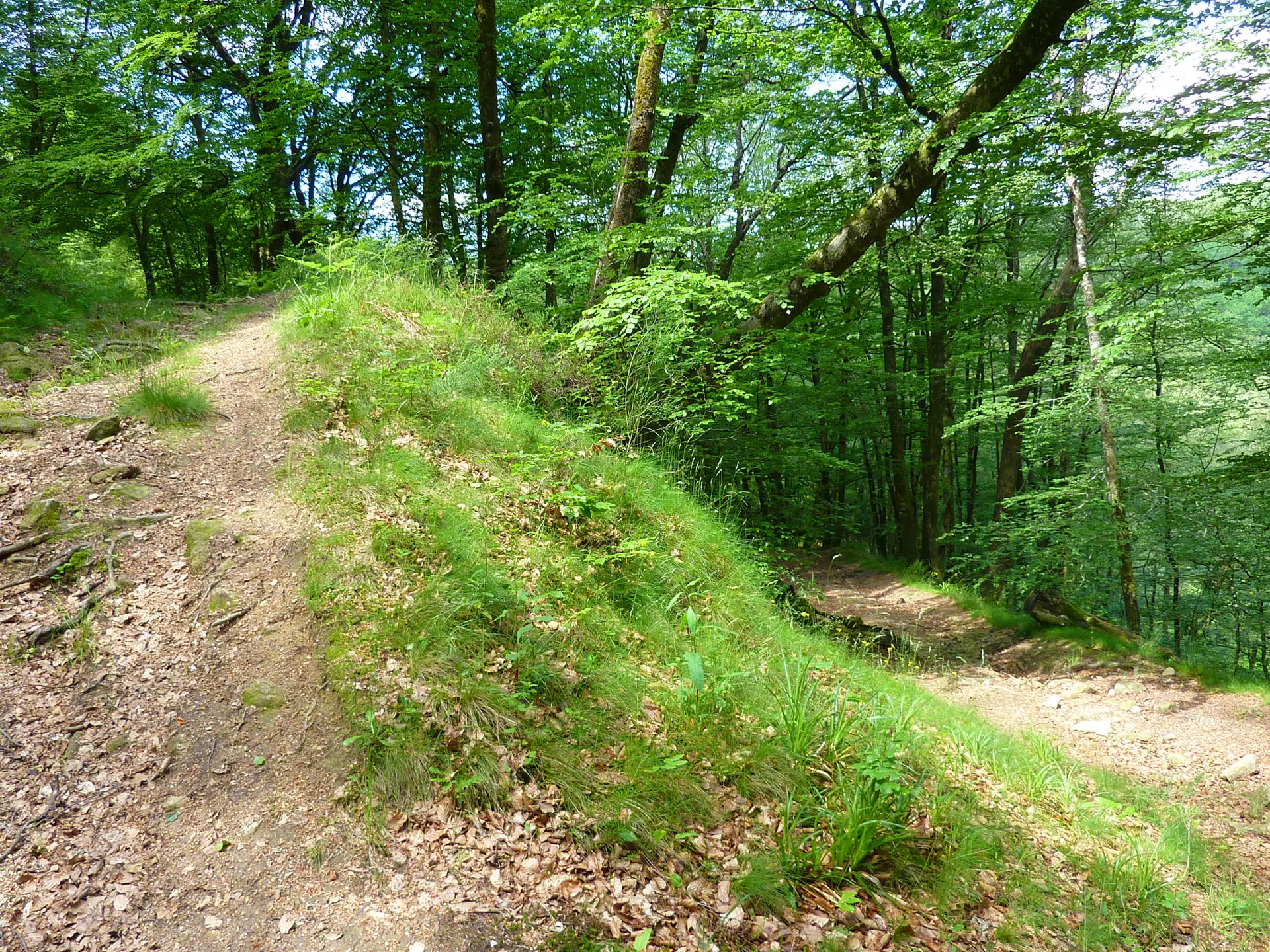 Marraufin - Descente en lacet _10 © Lot Tourisme - C. Sanchez