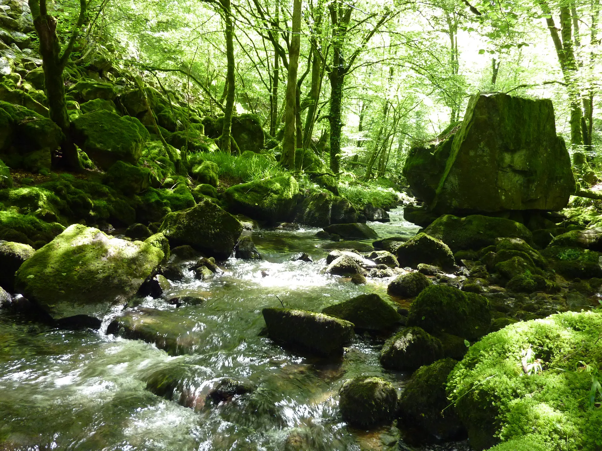 Marraufin - Ruisseau de Cayla_12 © Lot Tourisme - C. Sanchez