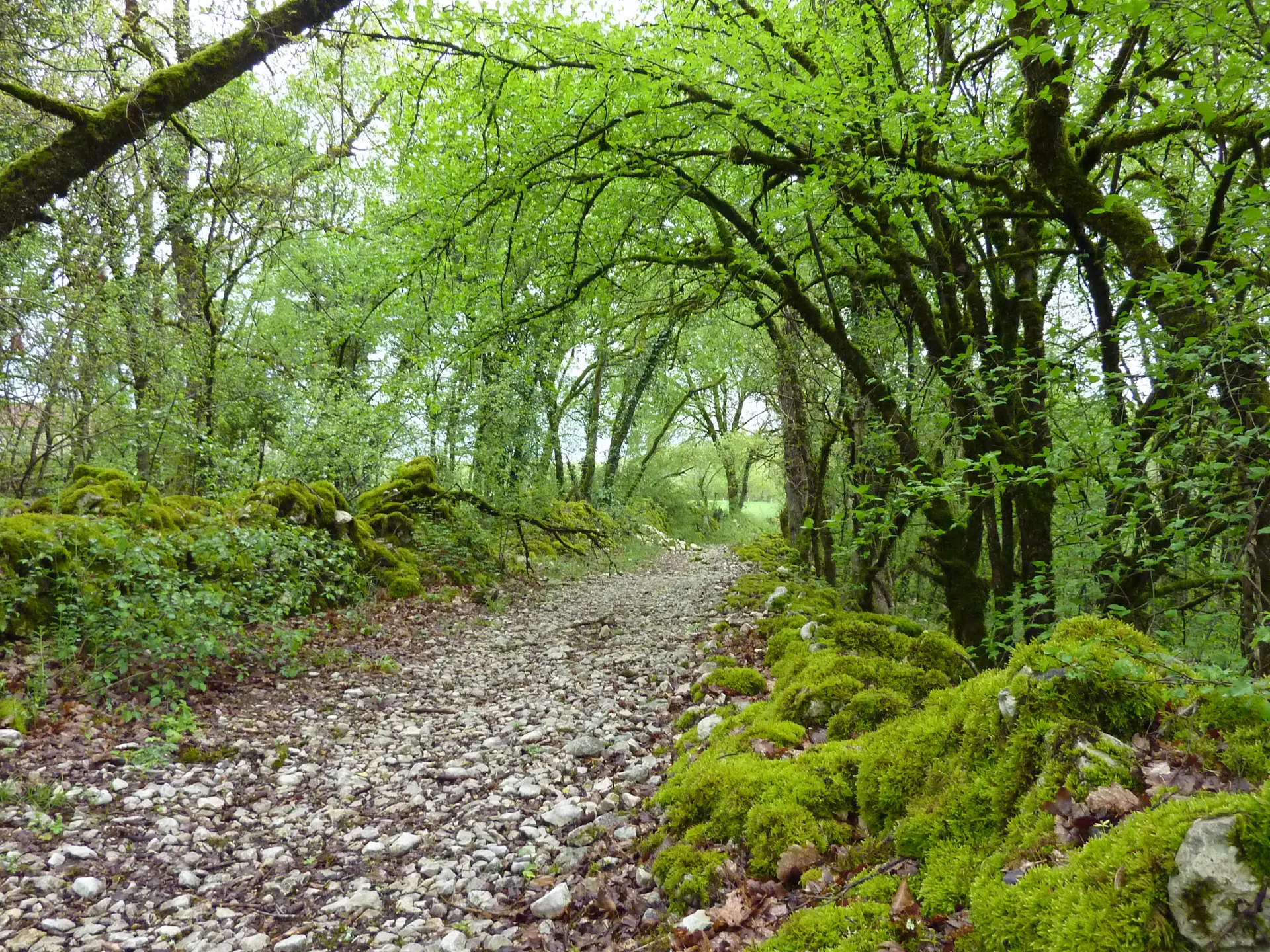 Mas de Coulié - Chemin de pierres © Lot Tourisme - C. Sanchez
