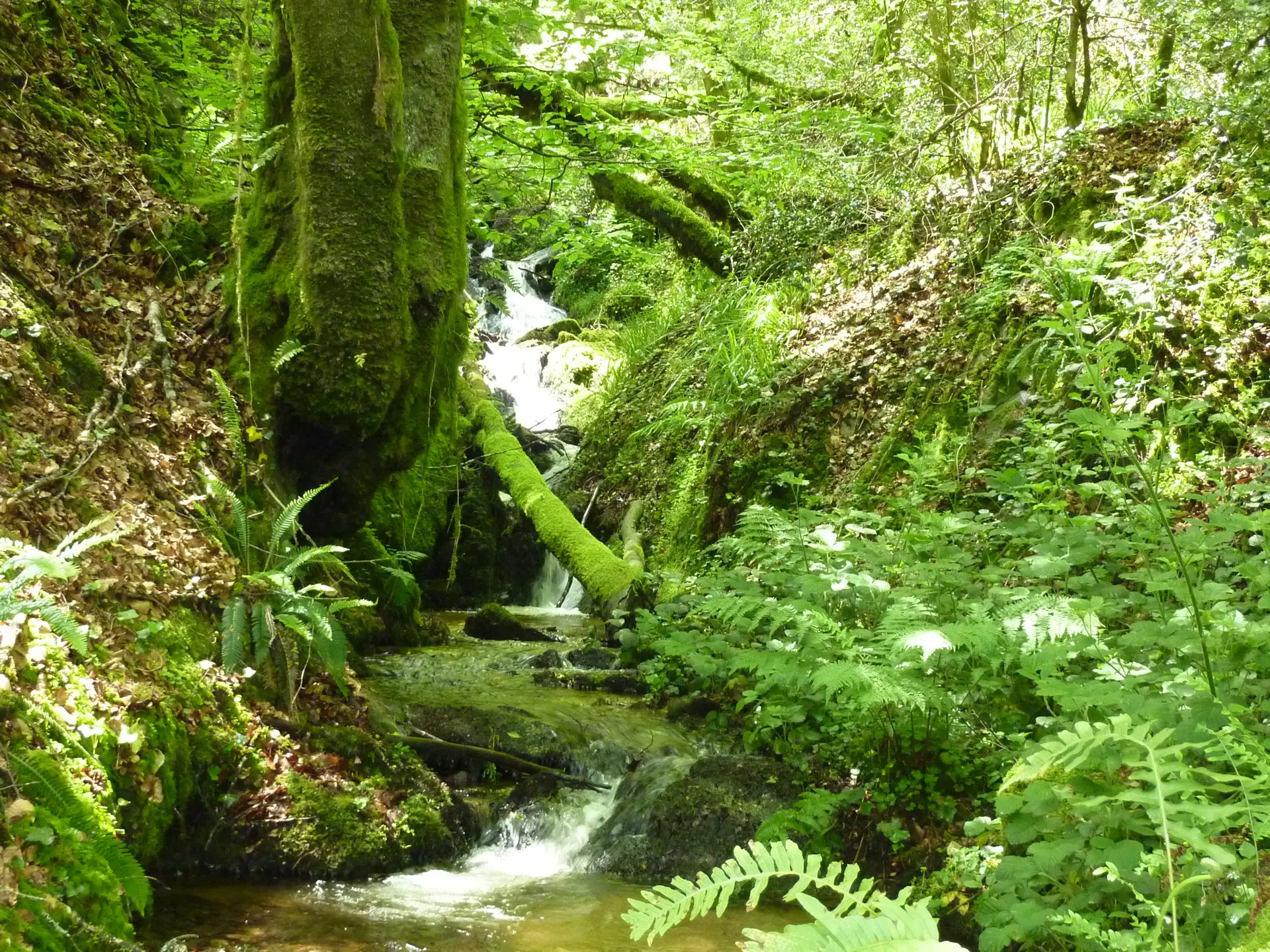 Maurraufin - Source_13 © Lot Tourisme - C. Sanchez