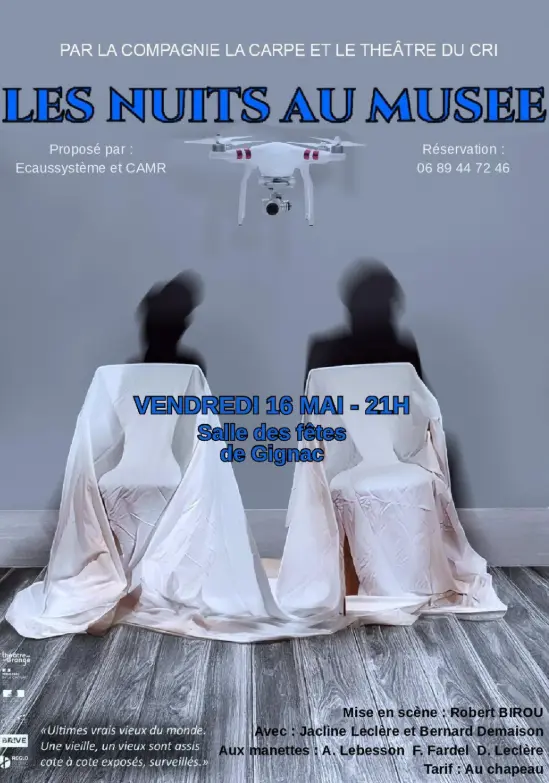 Les nuit au musée