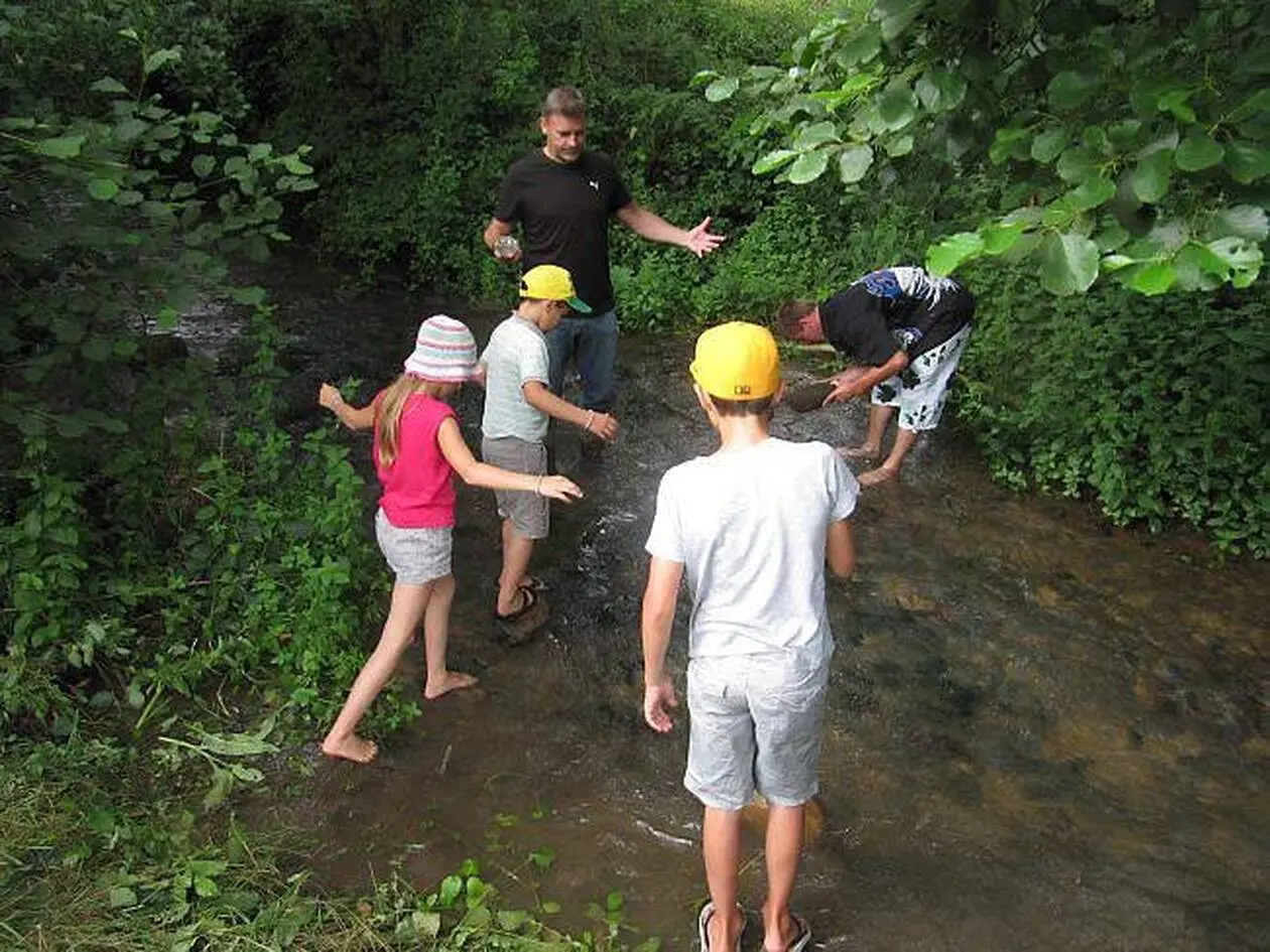 Animation-découverte des petites bêtes des rivières