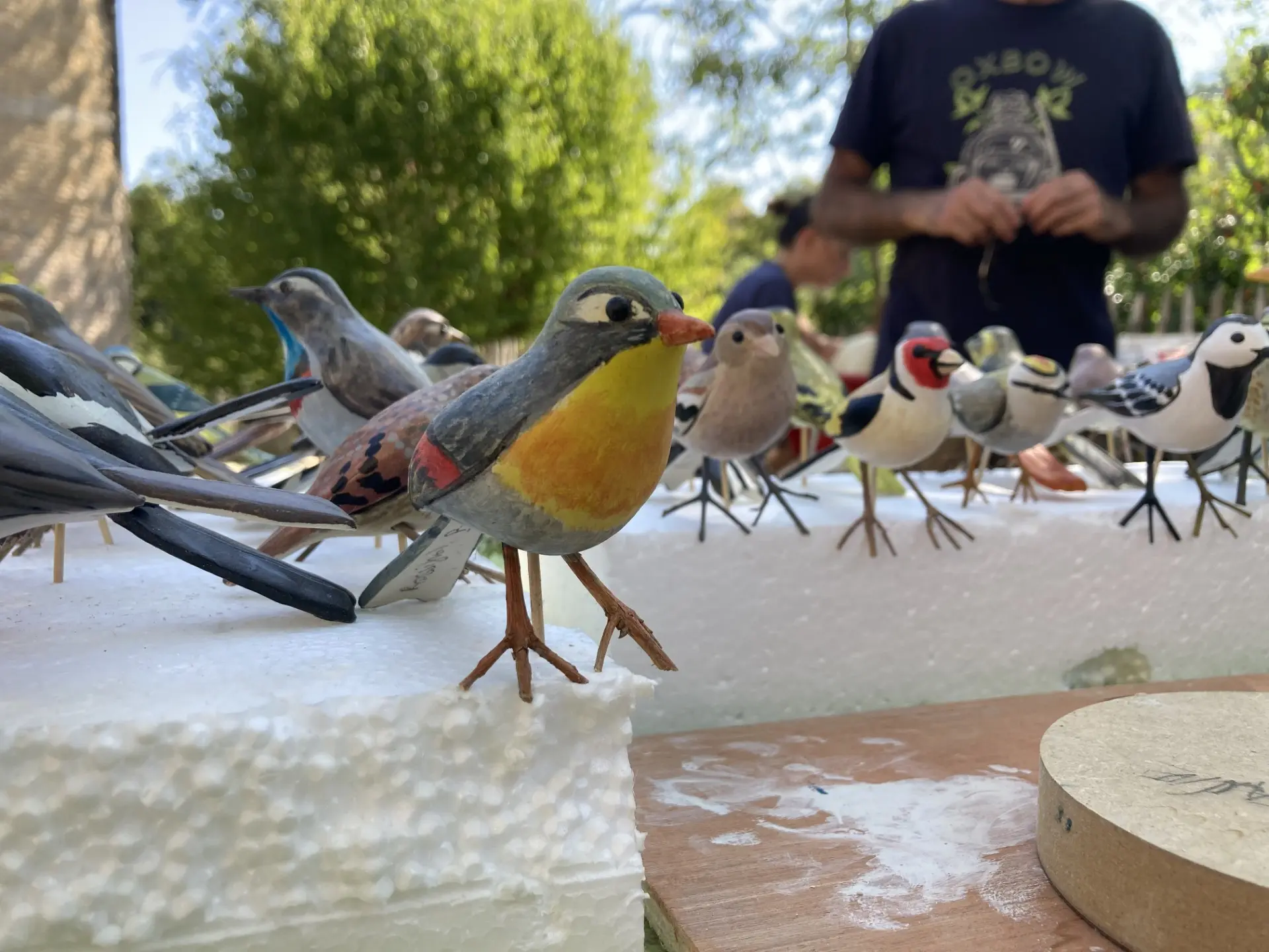 Oiseaux_BastienLemaitre