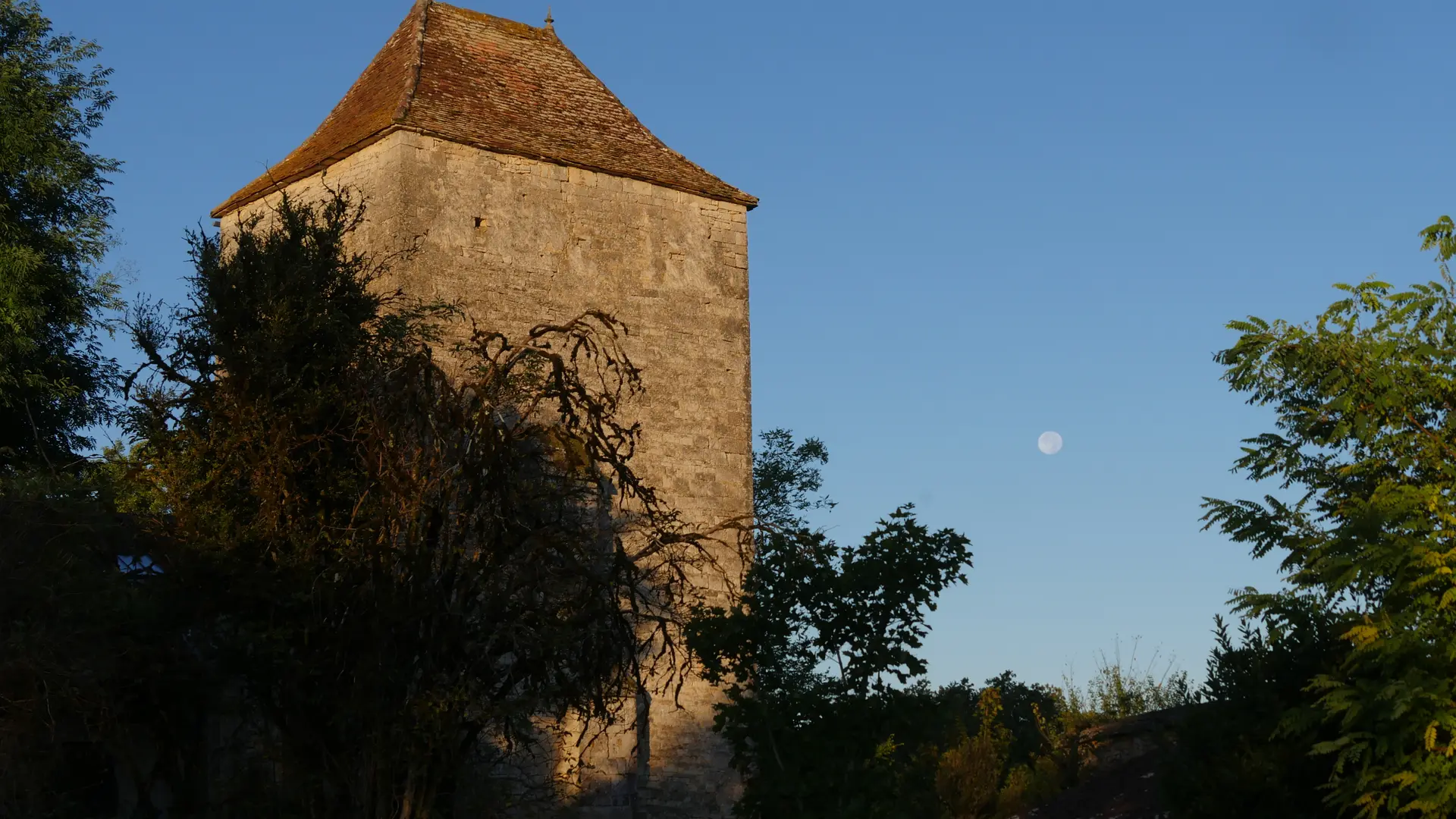 P1200018 - copie