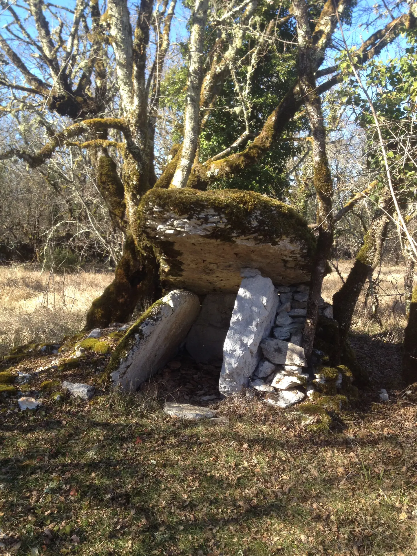 Dolmen-des-Agars