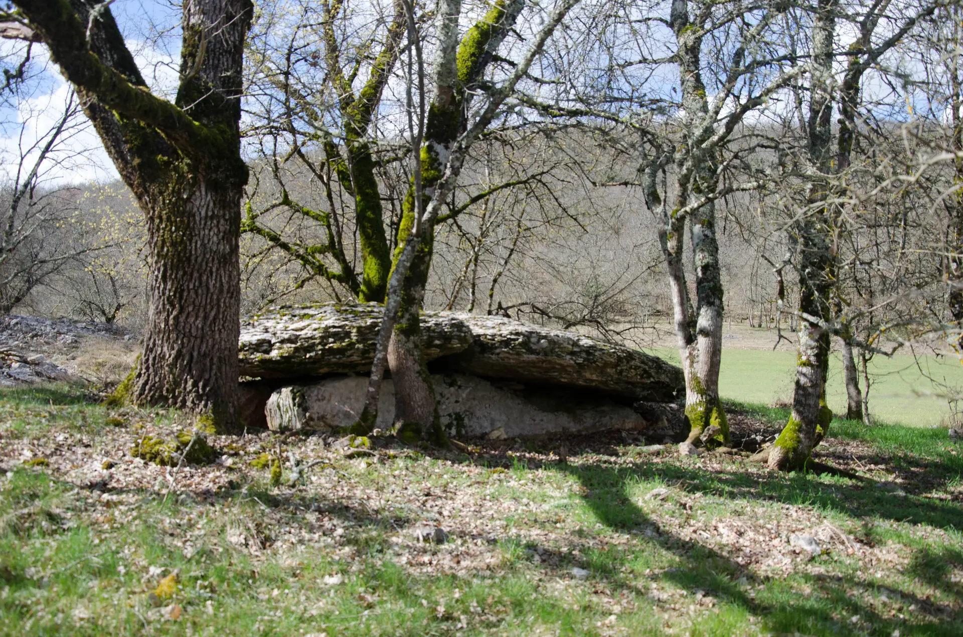 dolmen de la combe de Saule
