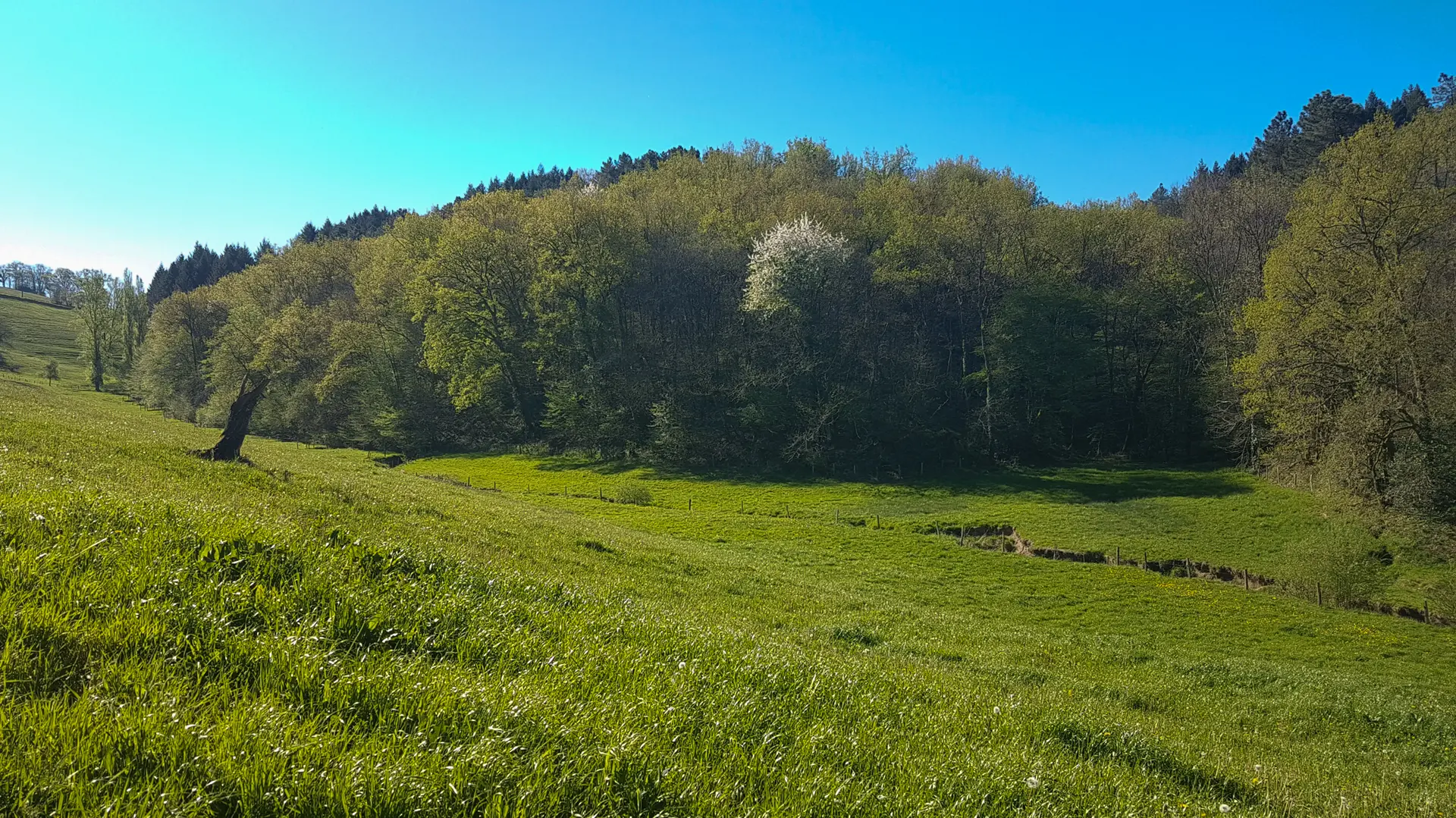 Paysage du Ségala