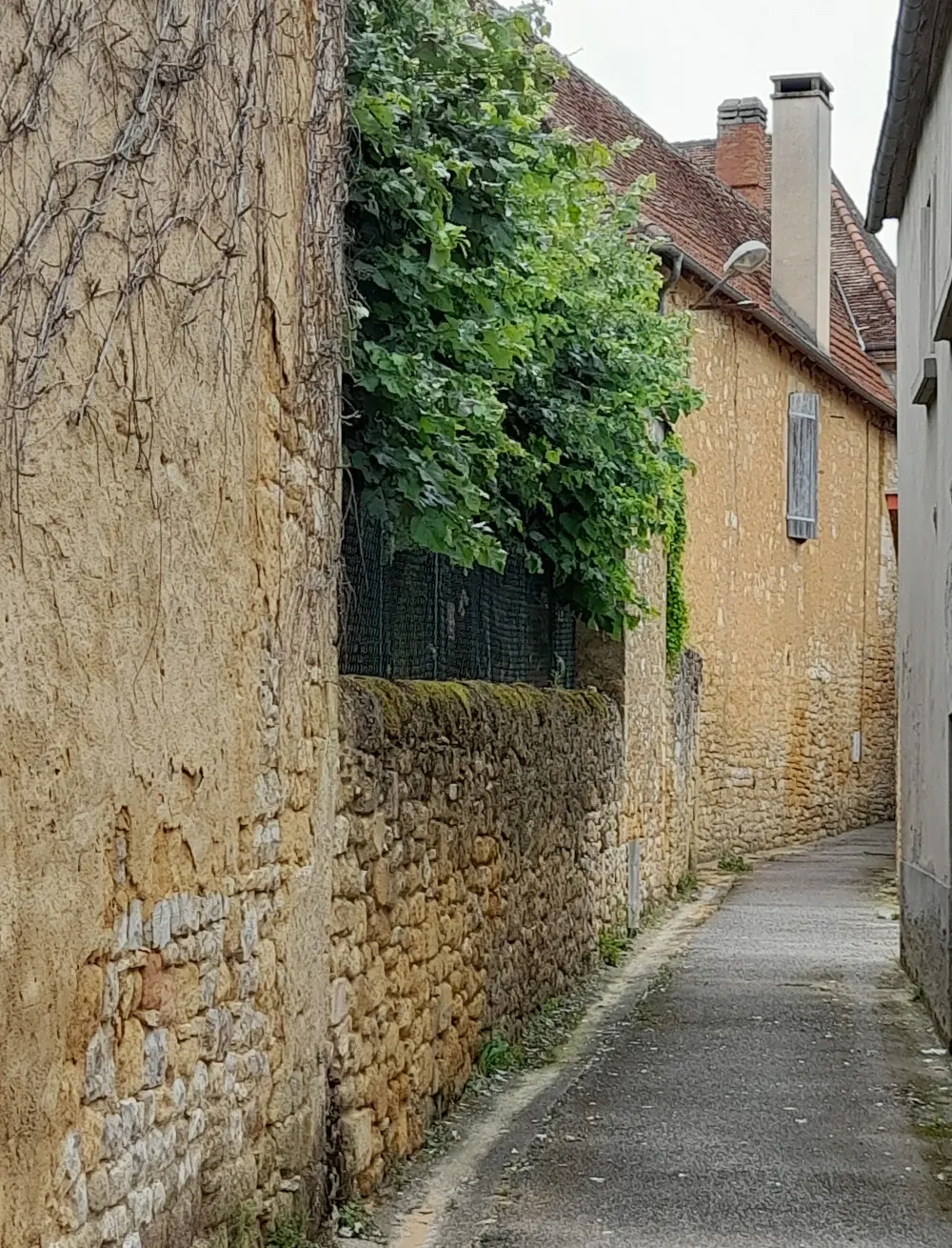 Photo balade 2022 - 3