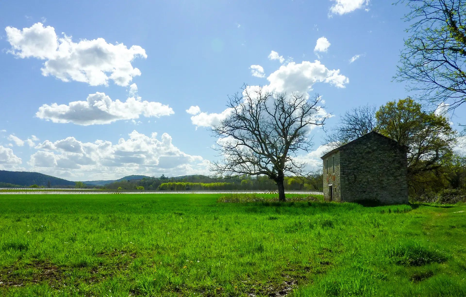Pissobi - Maison de vigne © Lot Tourisme - C. Sanchez