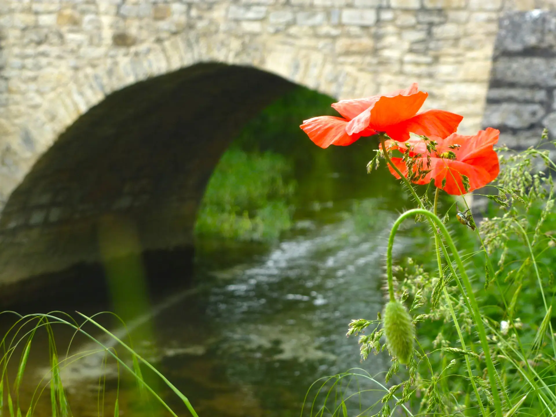 Concorès - Pont de Pierre