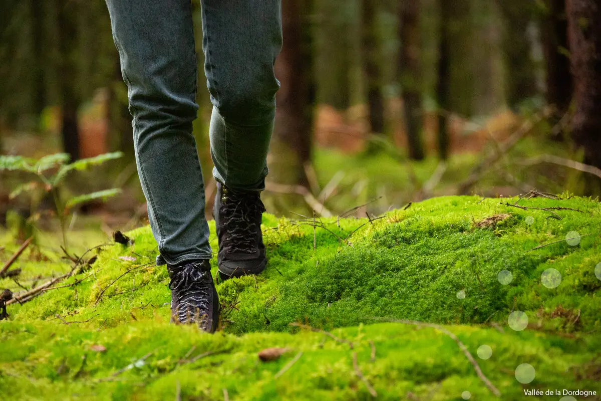 Randonnee_en_Correze-Malika_Turin_-_Vallee_de_la_Dordogne_CC-BY-NC-2101-1200px