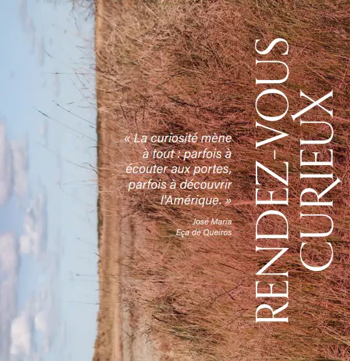 Rendez-vous des curieux 2023-2024
