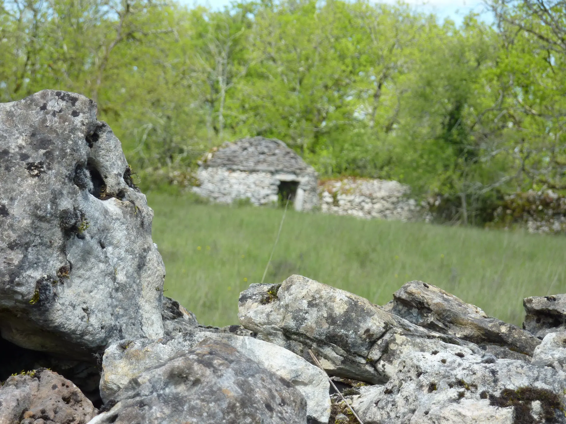 Reyrevignes - Cazelle derriere son muret de en pierre_12 © Lot Tourisme - C. Sanchez