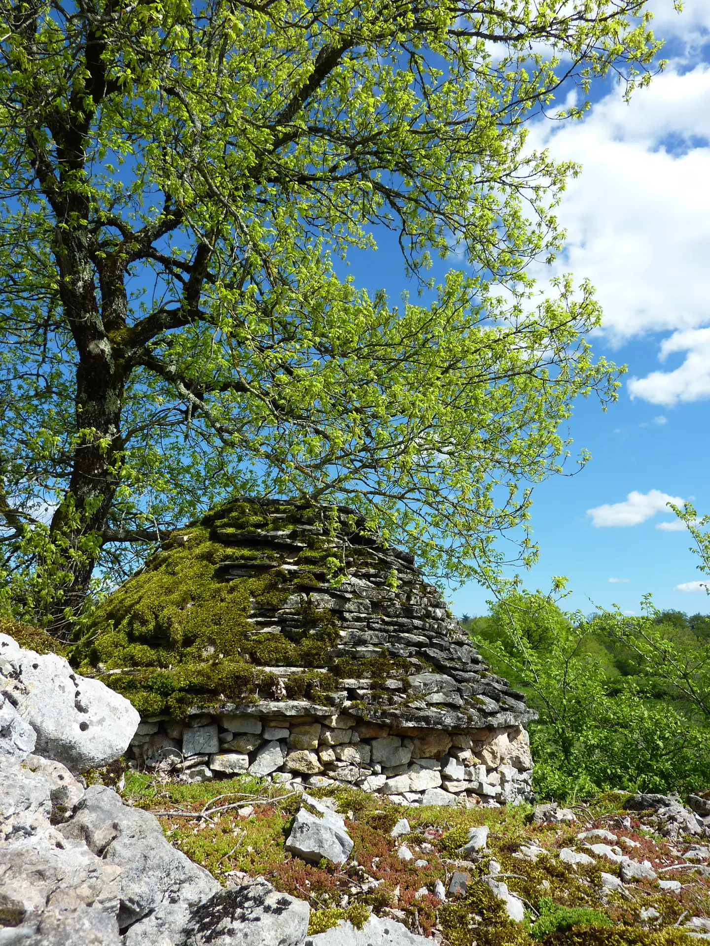 Reyrevignes - Gariotte jonchée sur le causse_08 © Lot Tourisme - C. Sanchez