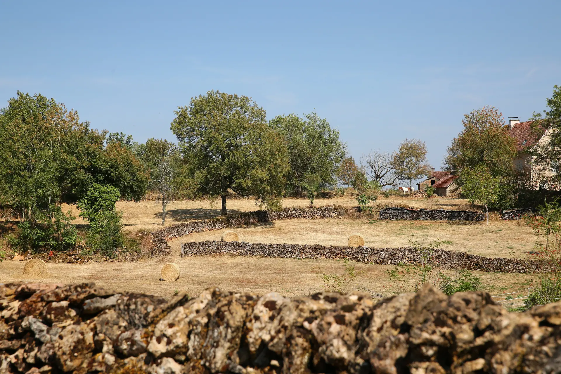 Reyrevignes