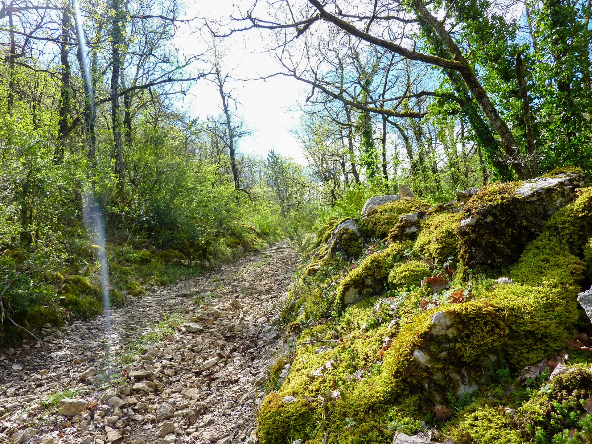 Rocaille - Montée sur le combe de Girons © Lot Tourisme - C. Sanchez