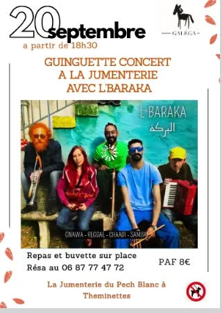 Concert