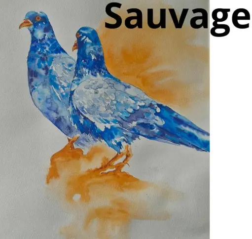 exposition Sauvage