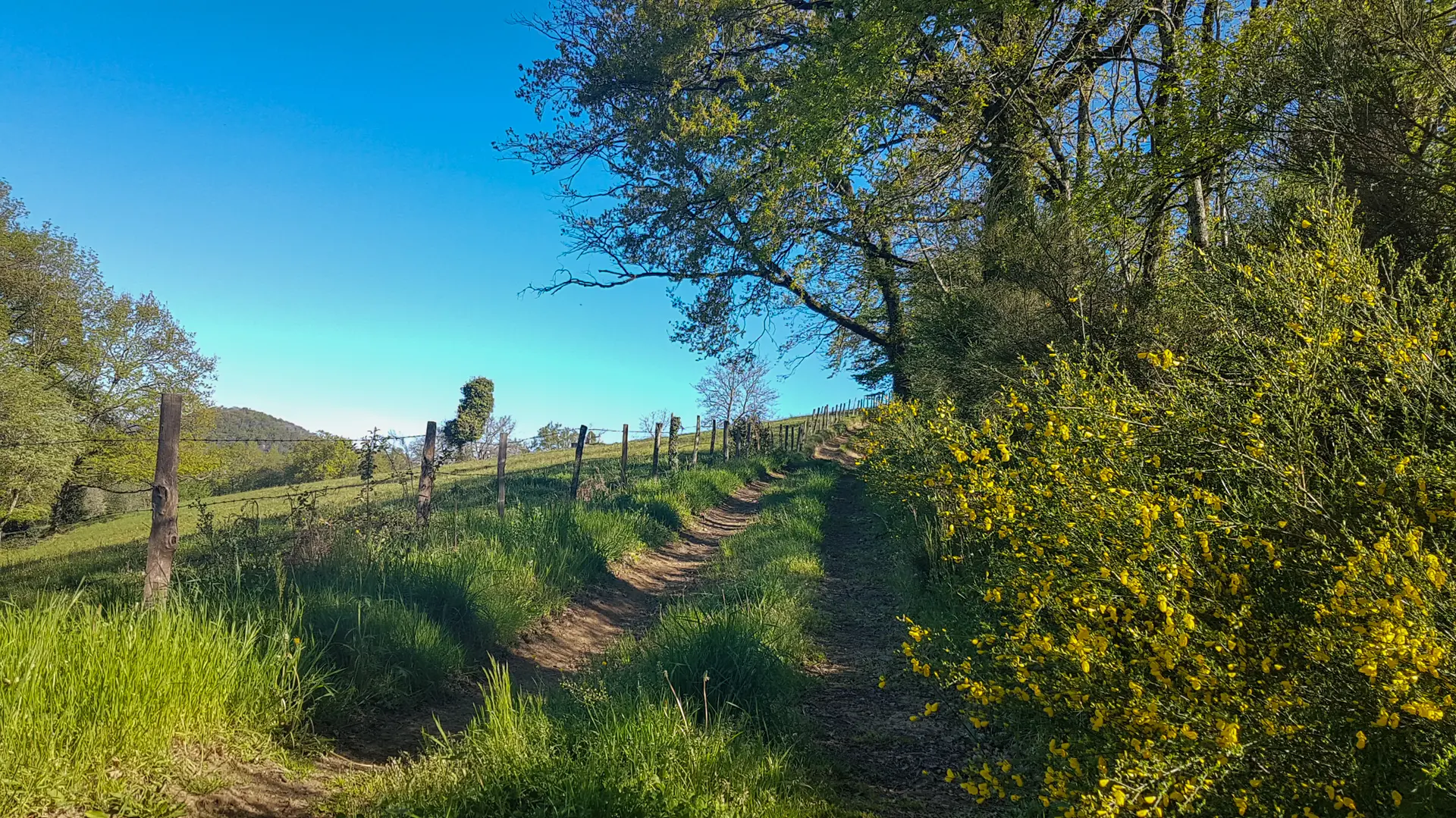 Sentier de Teyssieu à Estal