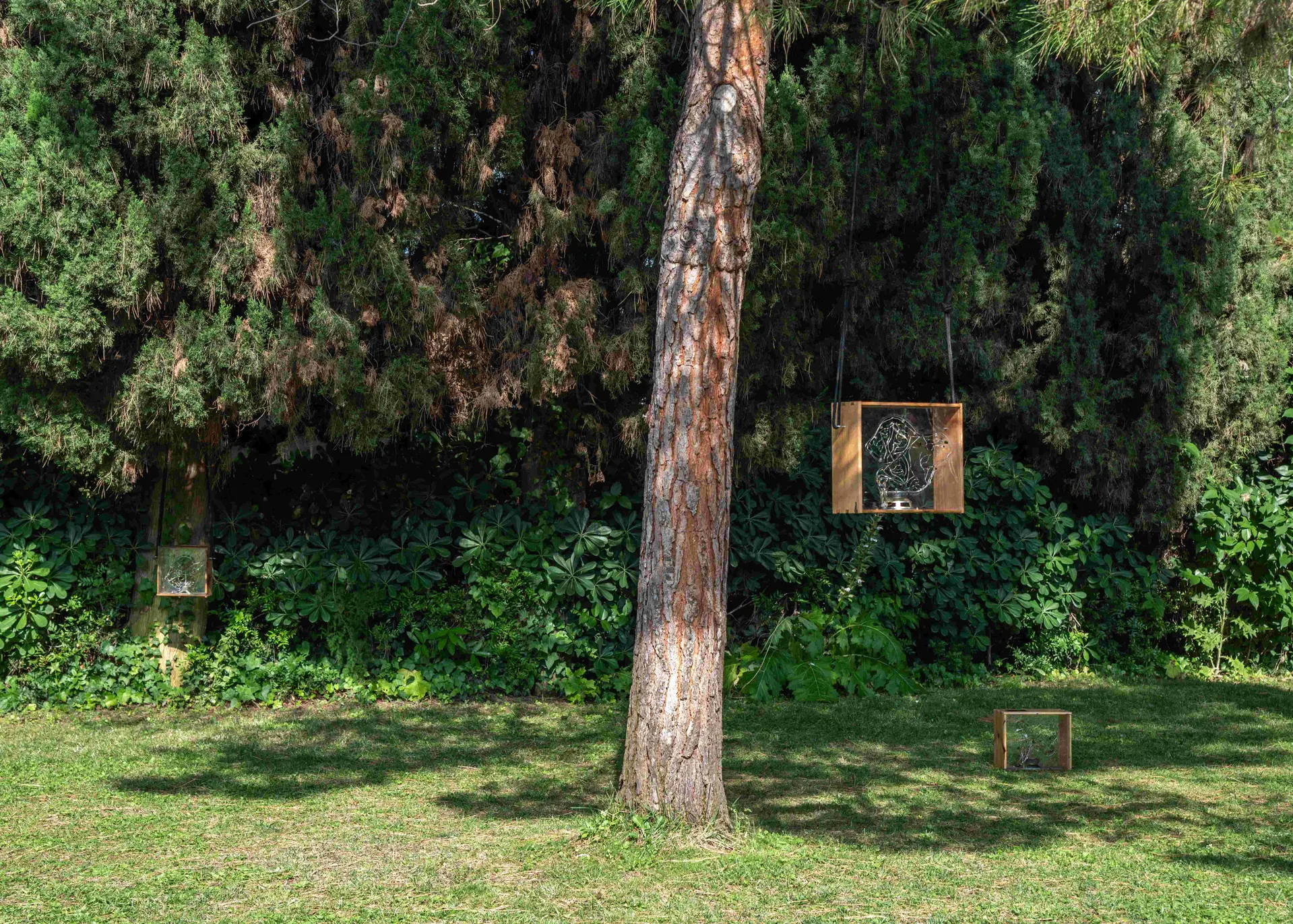 Solar Songe Juin 2025_Hélène Blondel