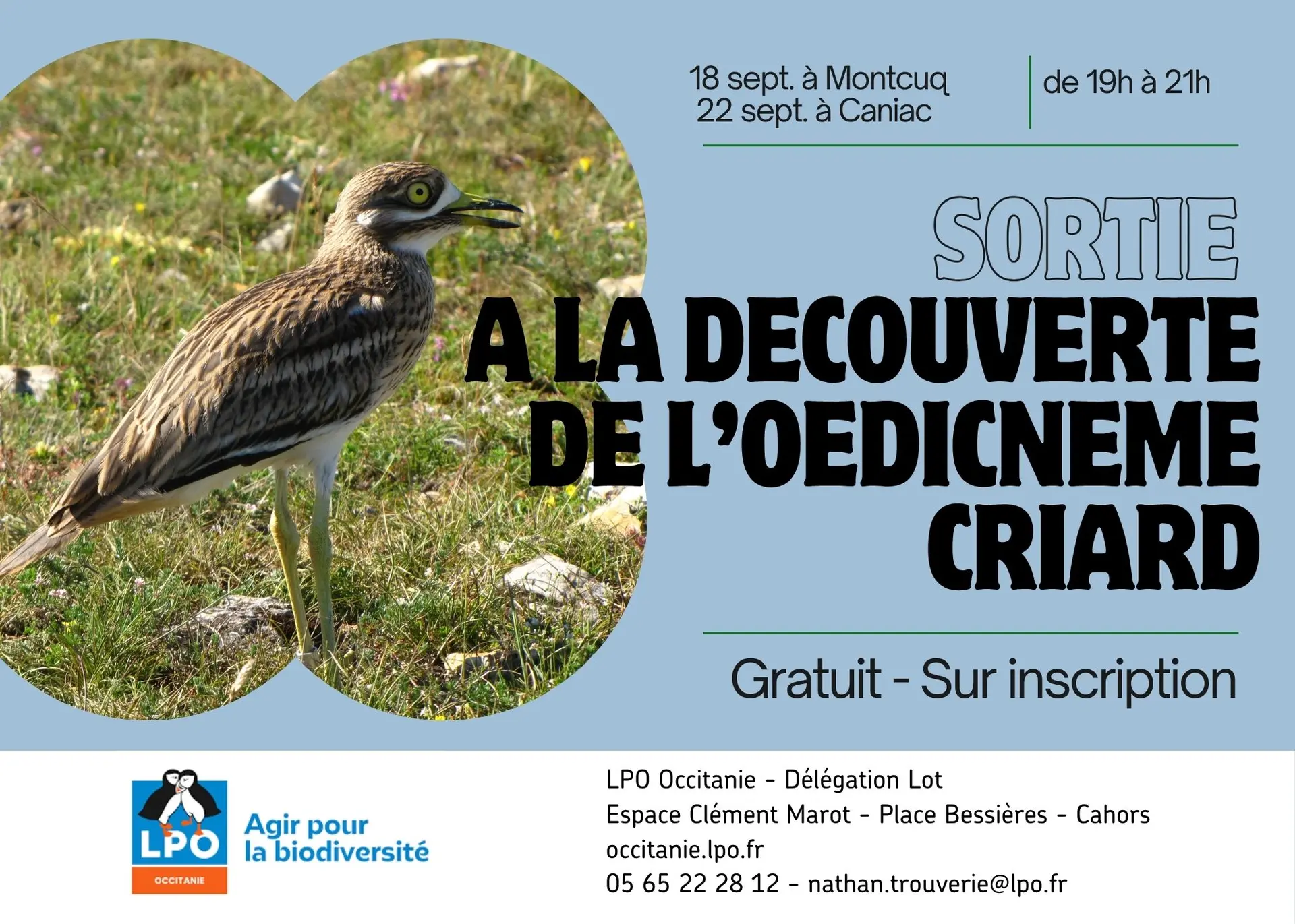 Affiche animation - 2024