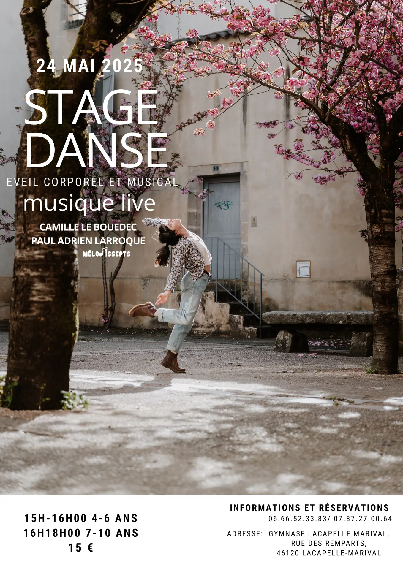 Danse Affiche