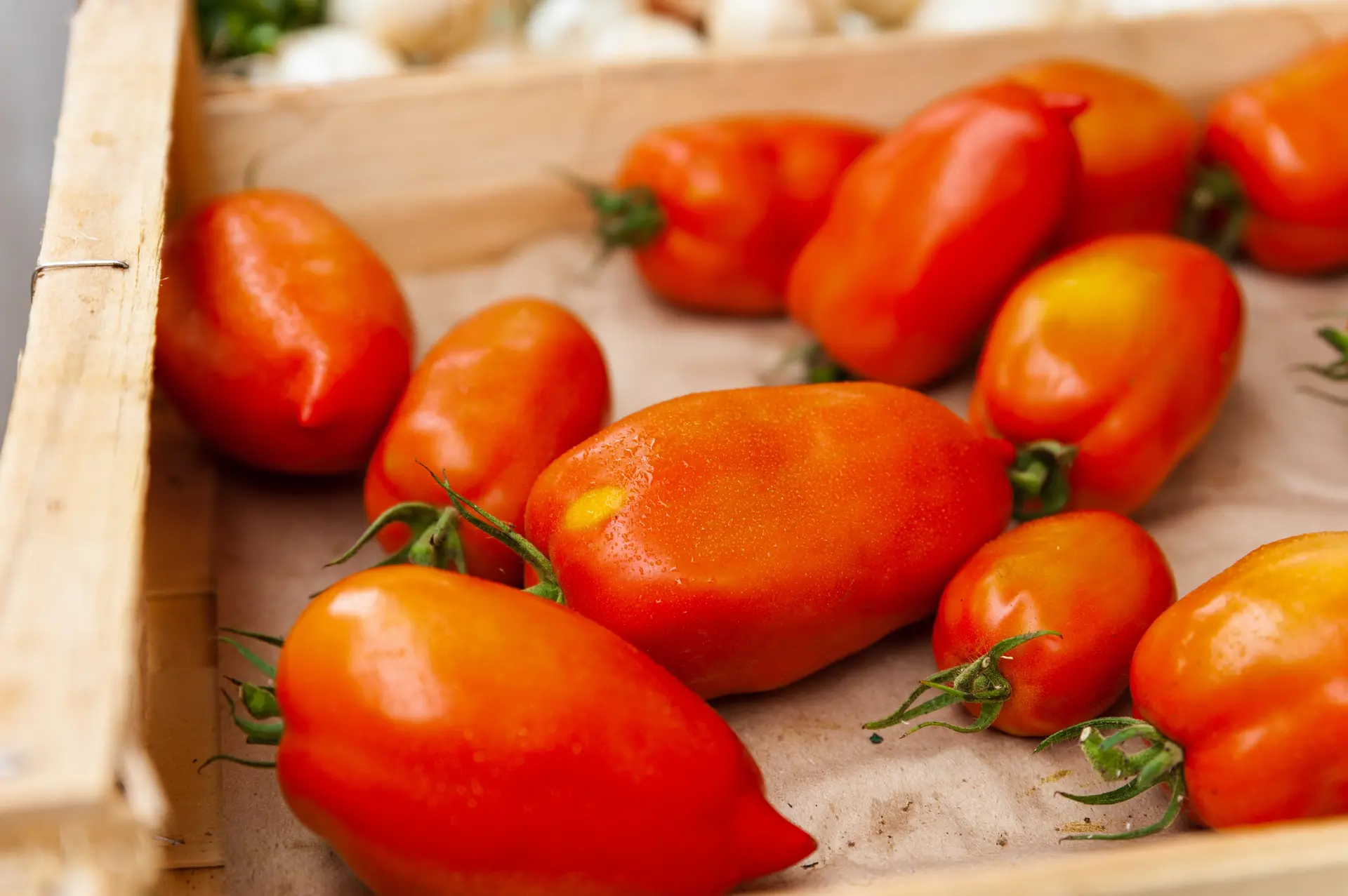 Tomates sur le Marché