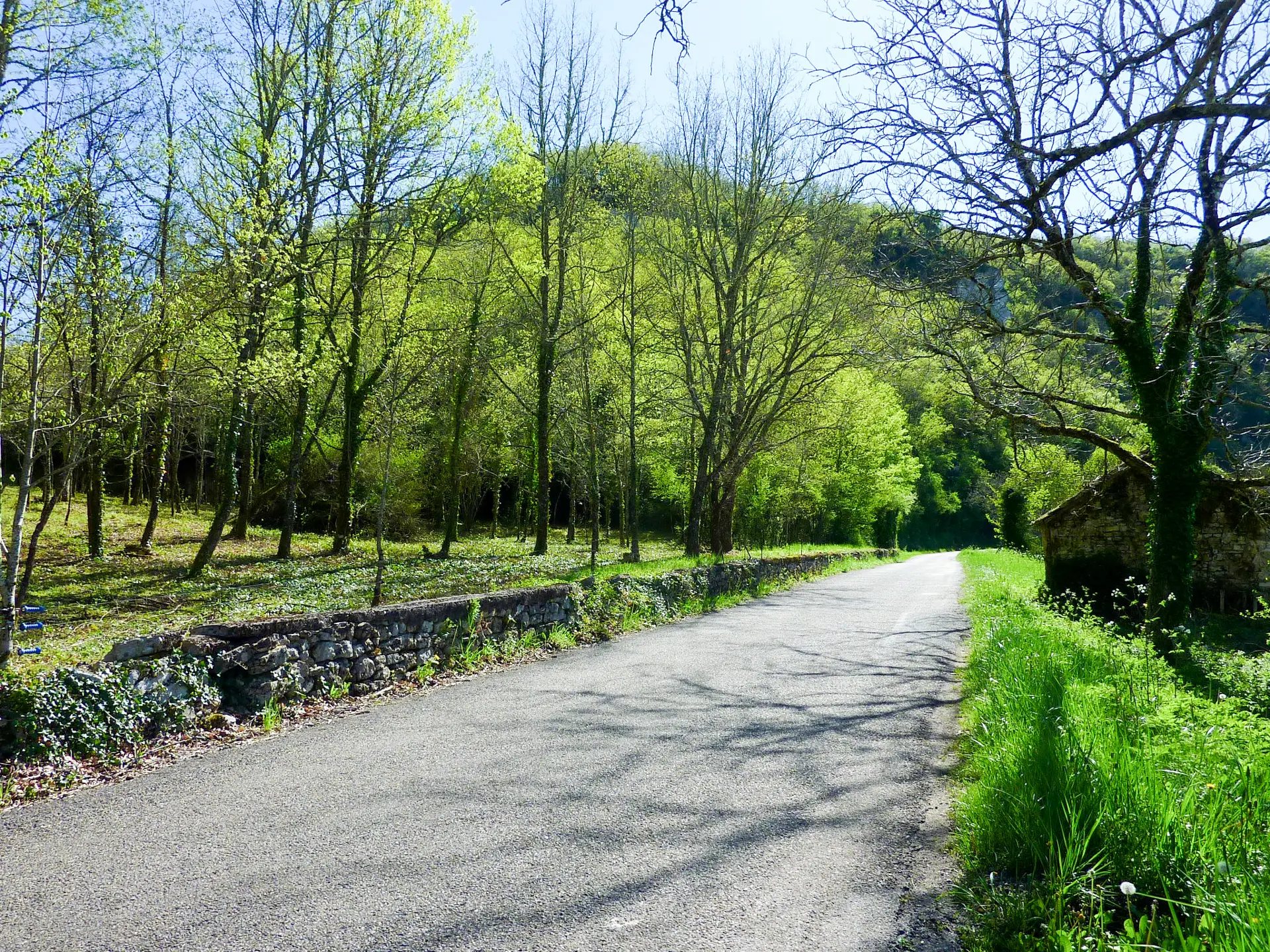 Trigoulet - Balade au milieu des chênes © Lot Tourisme - C. Sanchez