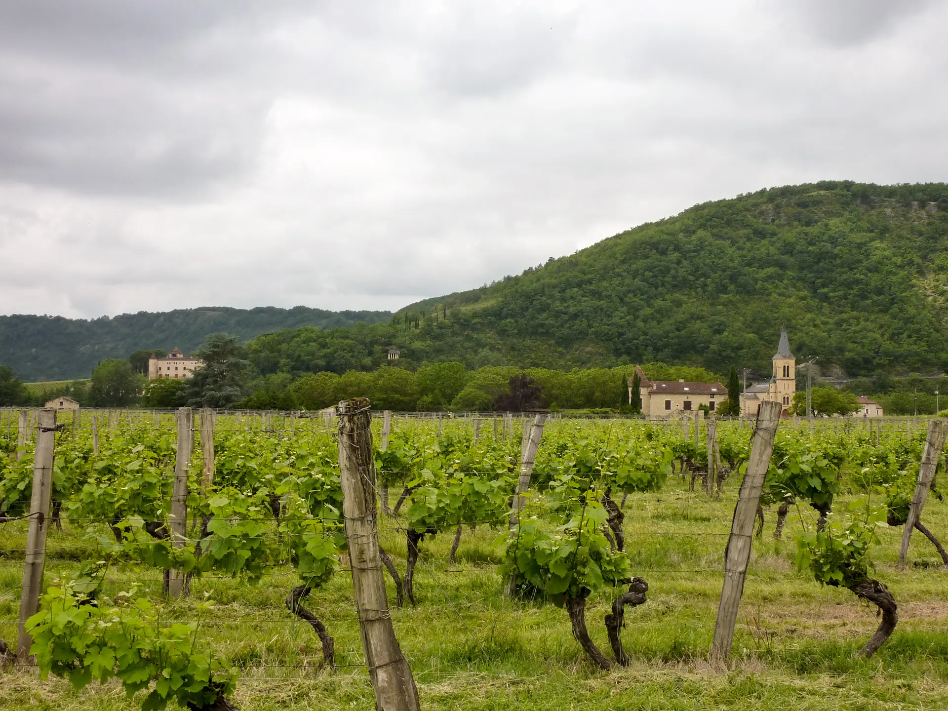 Vignes et Eglise de Parnac _01 © Lot Tourisme - C. Sanchez