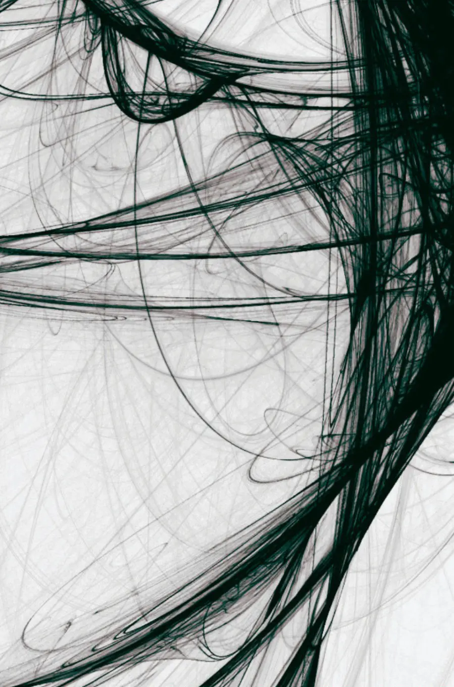 Des roses et des violettes